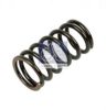 SCANI 1352472 Valve Spring